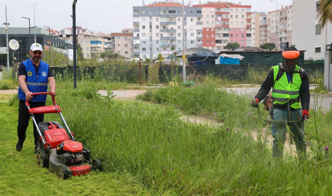 Buca Belediyesi, baharın gelişiyle birlikte 47 mahallede eş zamanlı yabani