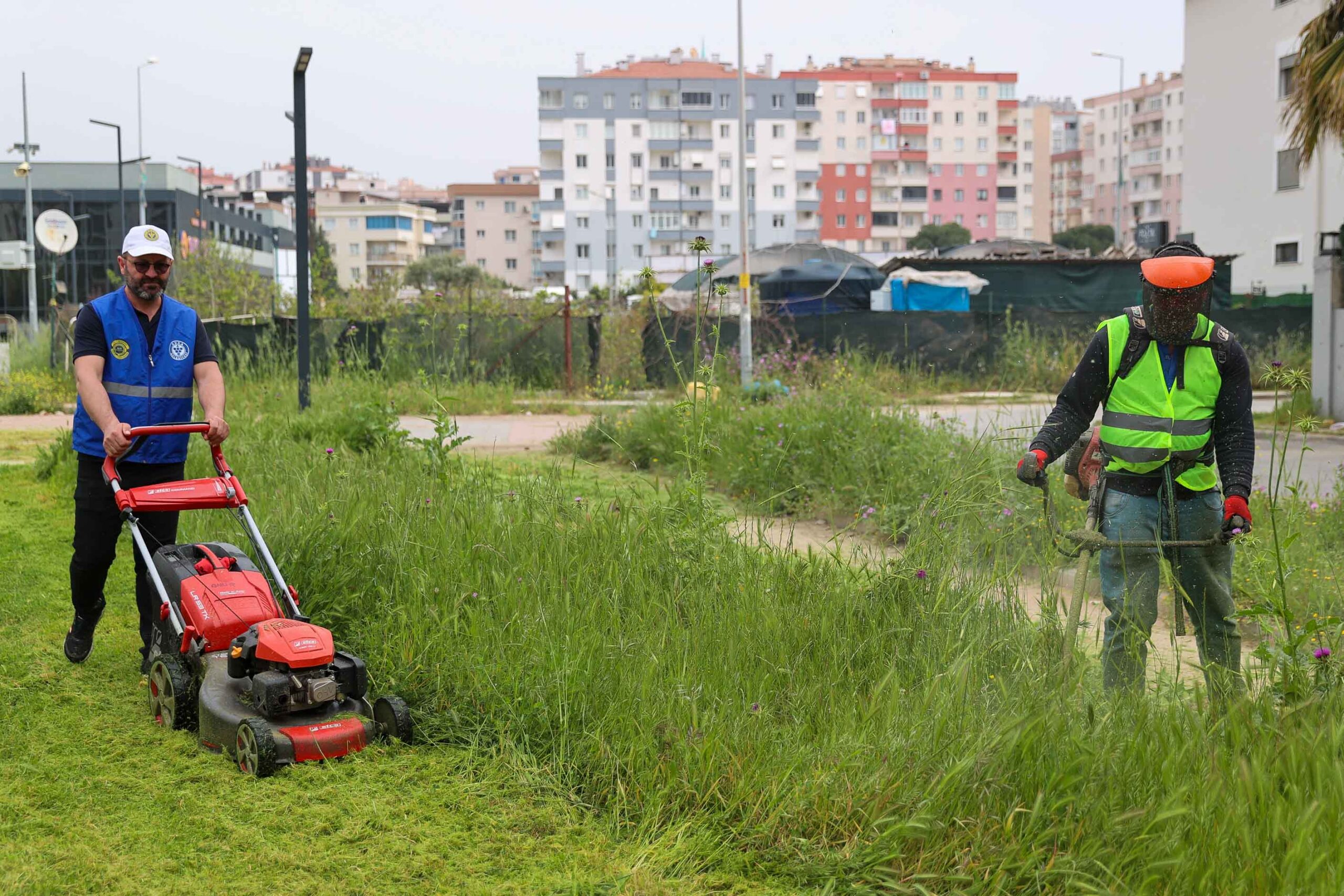 Buca Belediyesi, baharın gelişiyle birlikte 47 mahallede eş zamanlı yabani