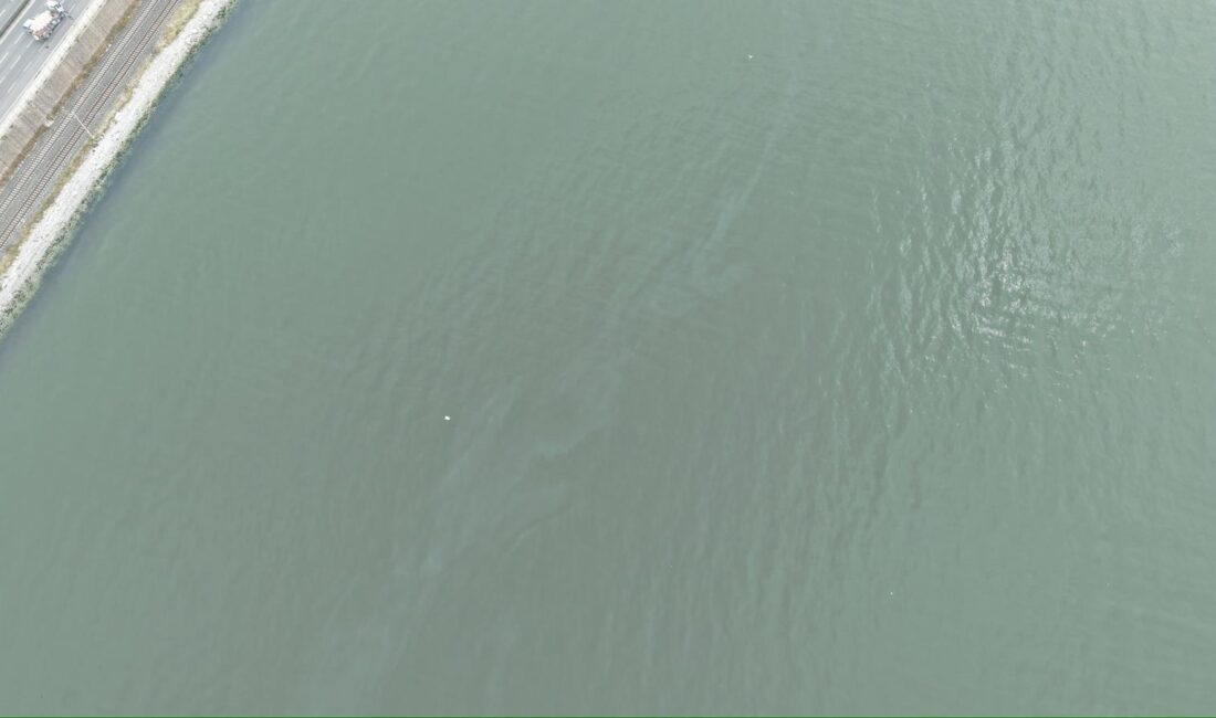 İzmir Büyükşehir Belediyesi tarafından İzmir Körfezi’nde  yapılan rutin dron taramaları