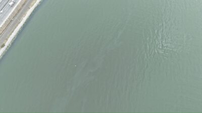 İzmir Büyükşehir Belediyesi tarafından İzmir Körfezi’nde  yapılan rutin dron taramaları