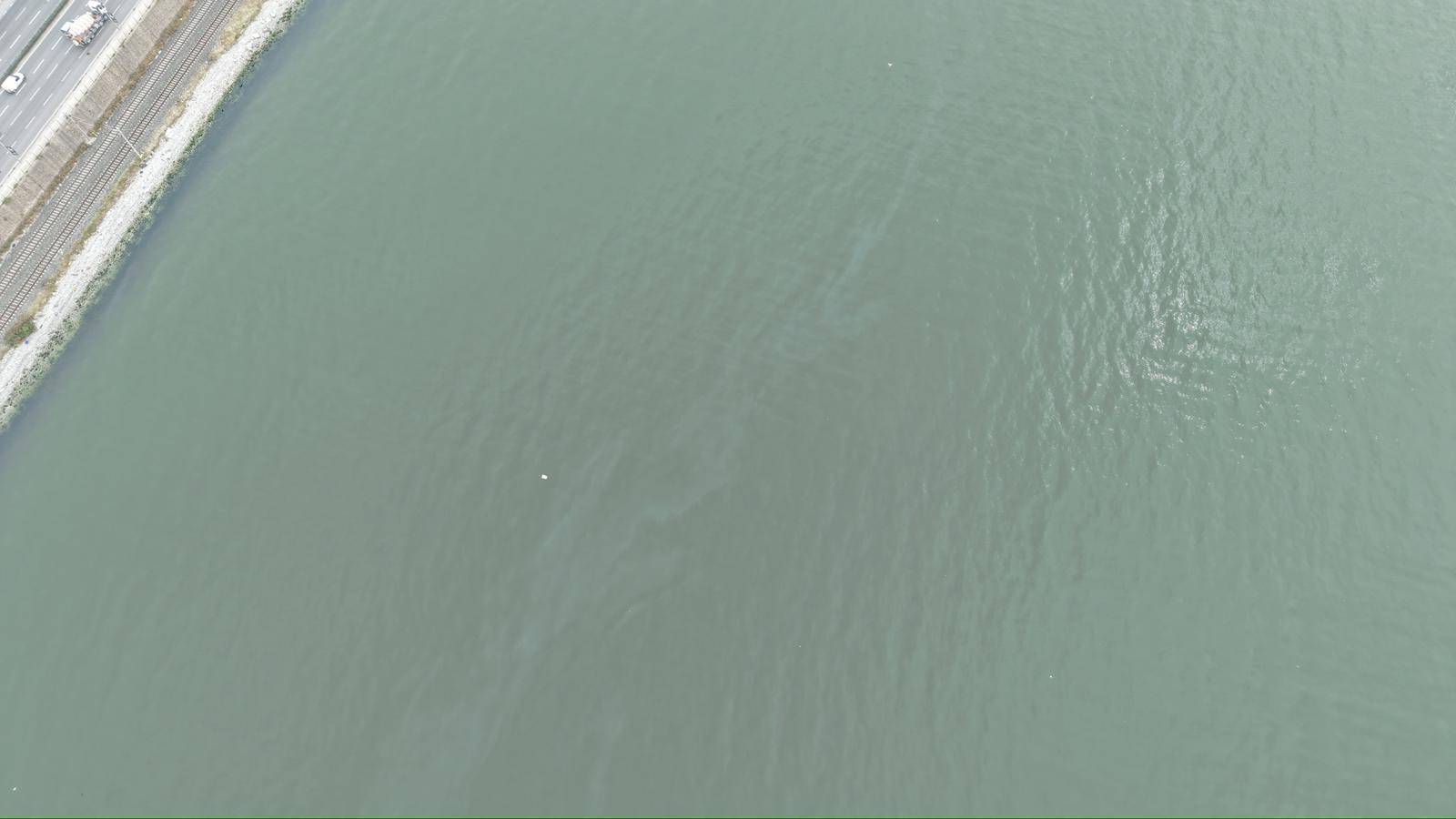 İzmir Büyükşehir Belediyesi tarafından İzmir Körfezi’nde  yapılan rutin dron taramaları