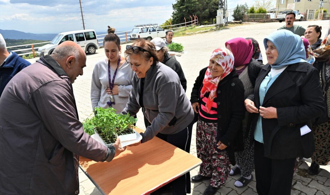 Bornova Belediyesi, ilçedeki 12 kırsal mahallede üreticilere domates, biber ve