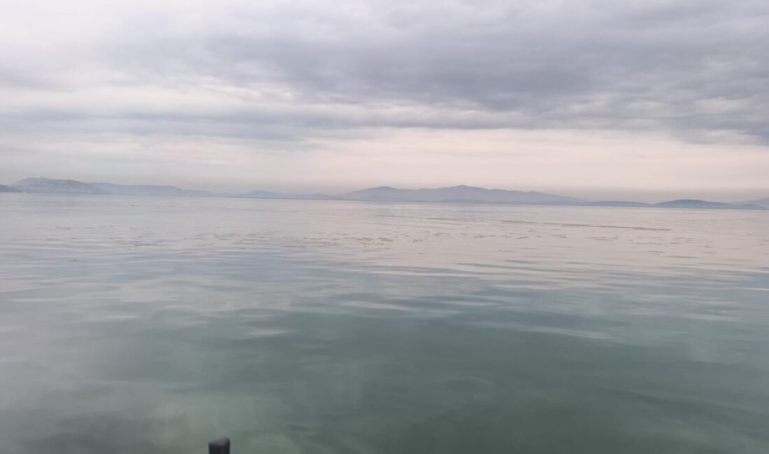 İzmir Körfezi’nde özellikle Gediz Nehri ve Ağıl Deresi üzerinden taşınan