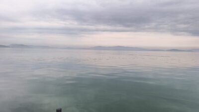 İzmir Körfezi’nde özellikle Gediz Nehri ve Ağıl Deresi üzerinden taşınan