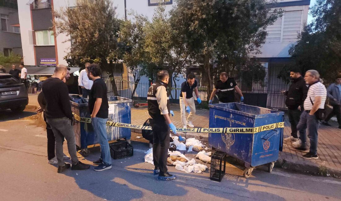 Buca’da bir çöp konteynerinde hasta altı bezlerine sarılmış halde 24
