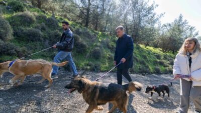 İzmir Büyükşehir Belediyesi, Dikili’de ameliyathaneden doğal yaşam alanlarına, bakım ve