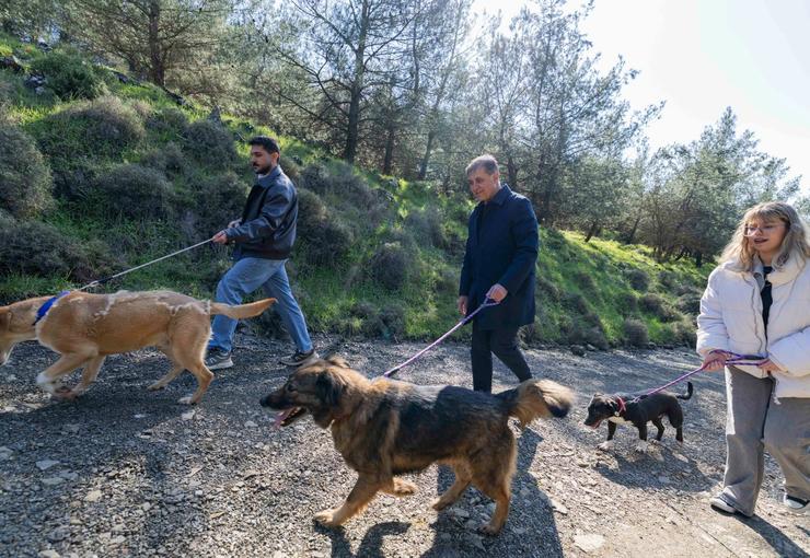 İzmir Büyükşehir Belediyesi, Dikili’de ameliyathaneden doğal yaşam alanlarına, bakım ve