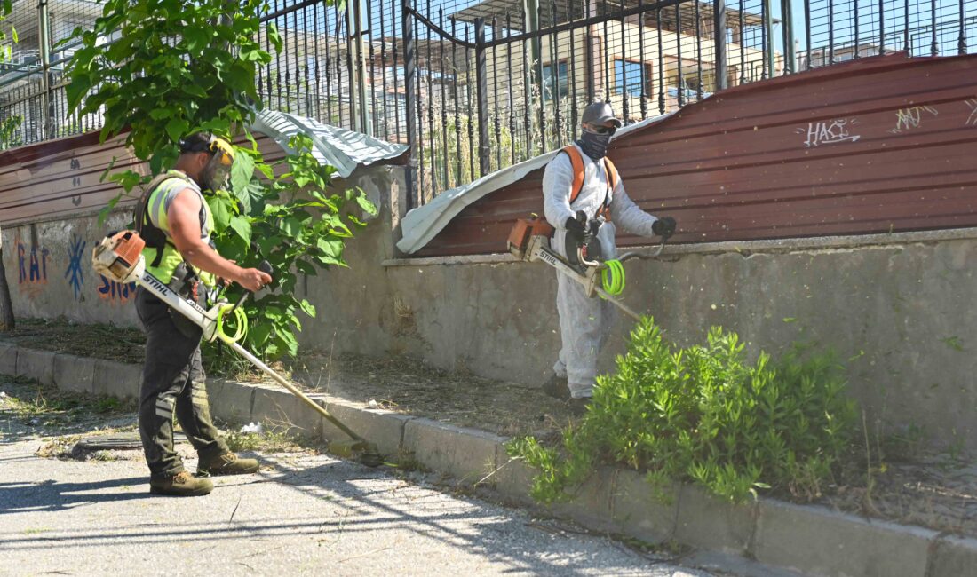 Bornova Belediyesi Park ve Bahçeler Müdürlüğü, yaz aylarının yaklaşmasıyla birlikte