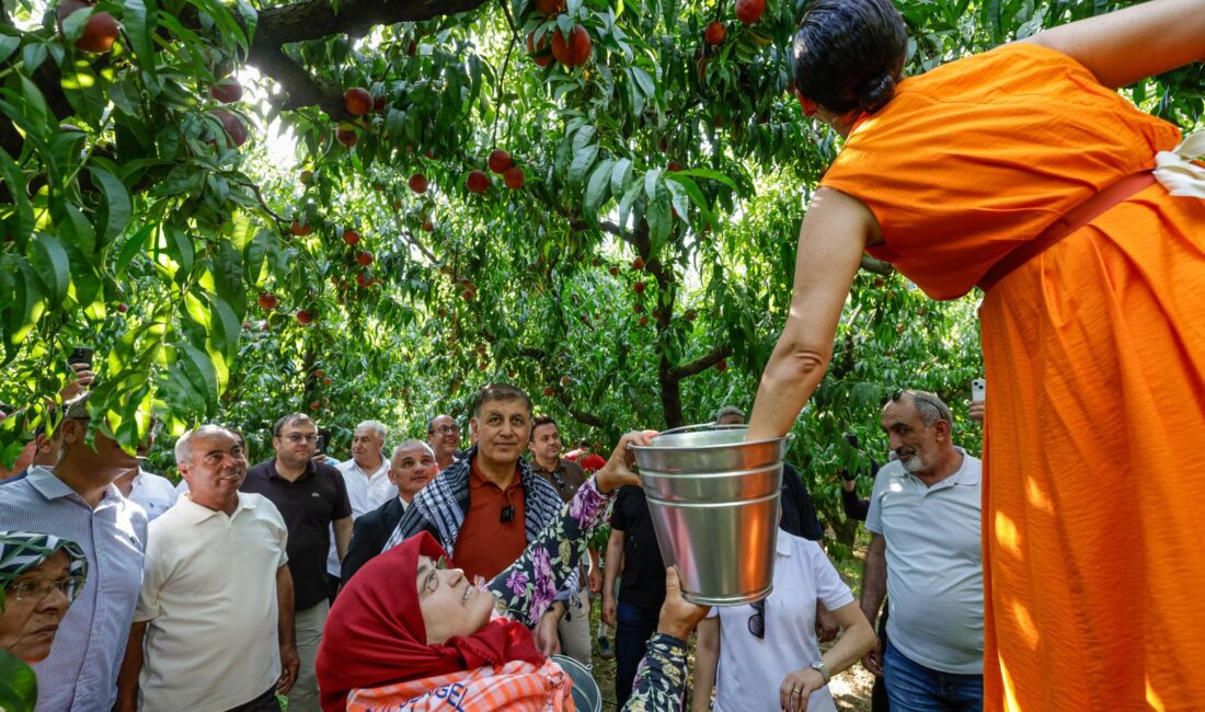 İzmir Büyükşehir Belediyesi’nin desteğiyle yeniden düzenlenen Selçuk Şen Şeftali Şenliği,