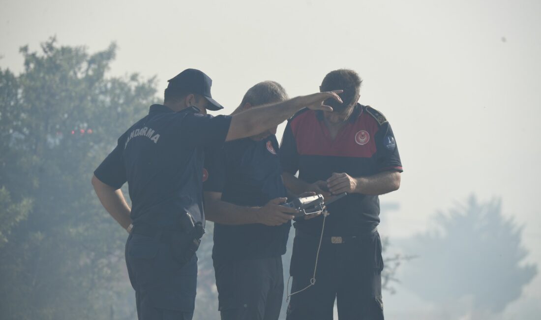 İzmir’in Dikili ilçesine bağlı Çandarlı Mahallesi’nde zeytinlik alanda başlayıp ormanlık