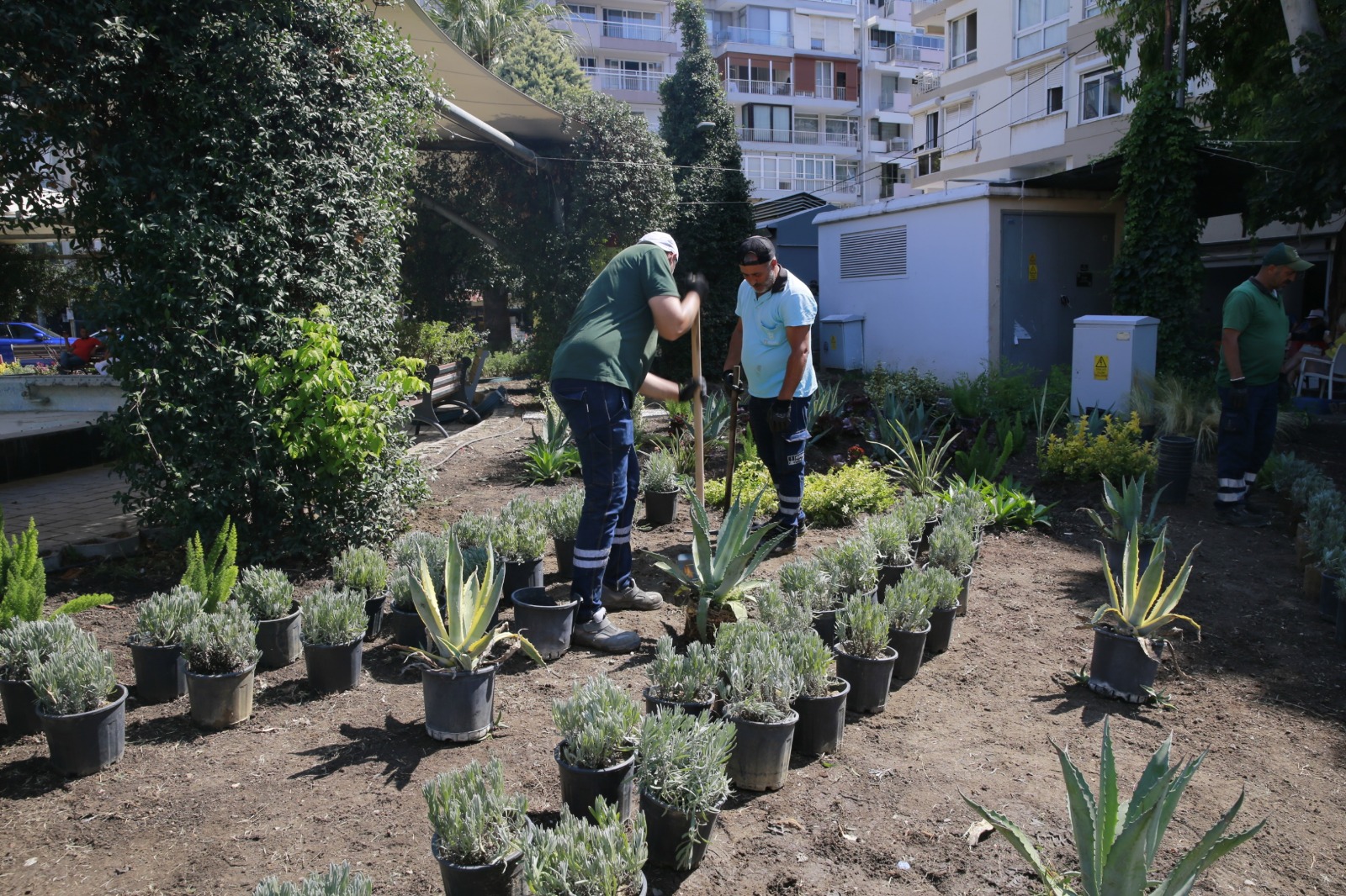 Konak Belediyesi’nin ilçe genelindeki park ve yeşil alanlarda tam gaz