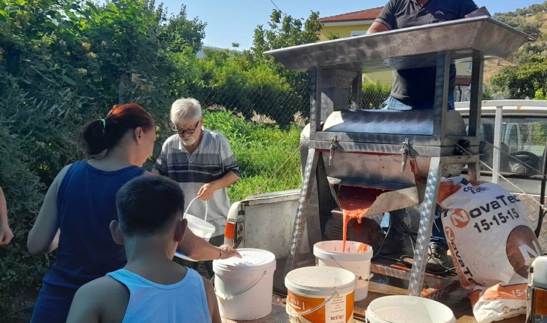 Efes Selçuk Belediyesi, yaz mevsiminin vazgeçilmezi olan salça yapımını bu