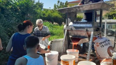 Efes Selçuk Belediyesi, yaz mevsiminin vazgeçilmezi olan salça yapımını bu
