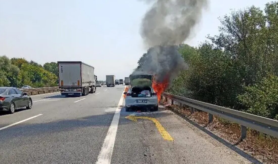 Sakarya-Düzce sınırında yol kenarında başlayan yangın kısa sürede kontrol altına