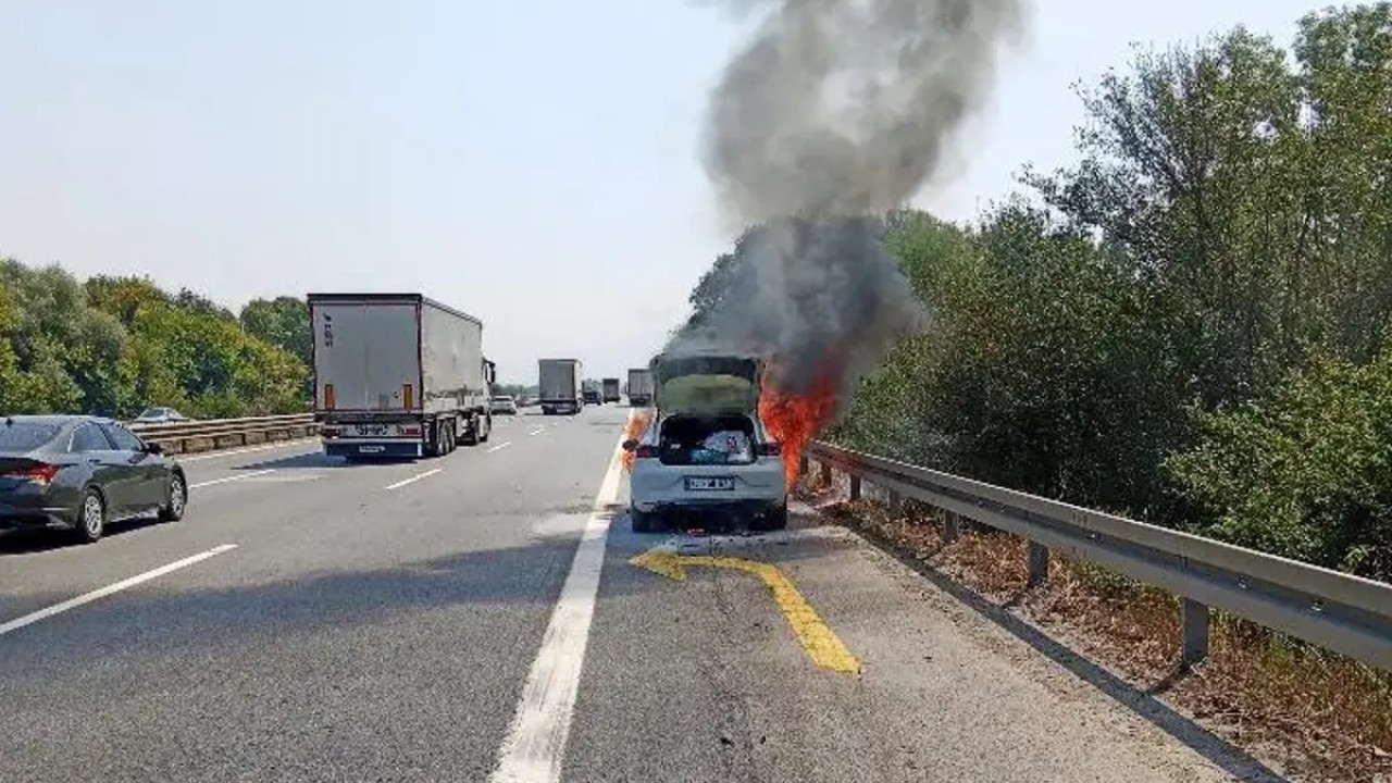 Sakarya-Düzce sınırında yol kenarında başlayan yangın kısa sürede kontrol altına