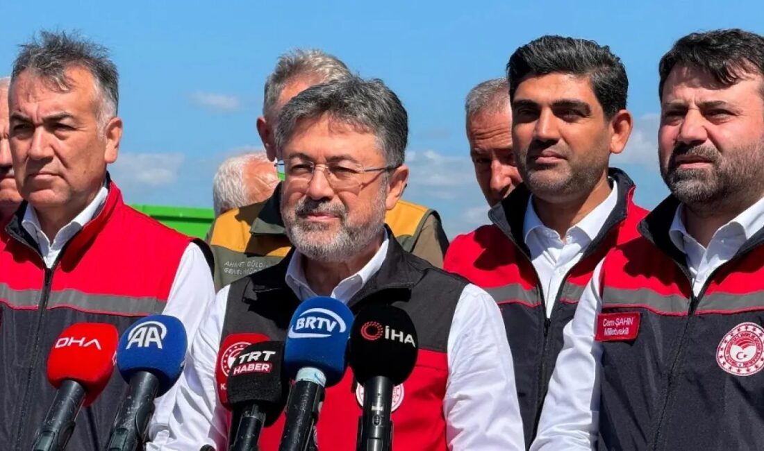 Bakan Yumaklı, arpa ve buğday hasadının ülke genelinde yüzde 93