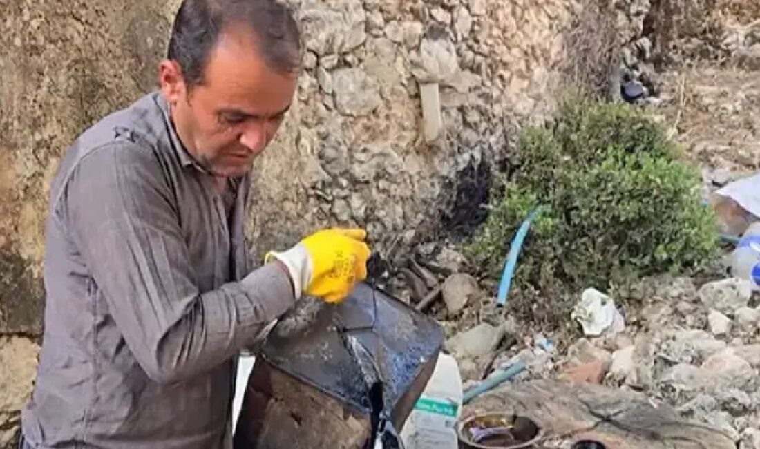 Antalya'da yaşayan Osman Akın, dağlardan topladığı kurumuş sedir köklerini atalarından