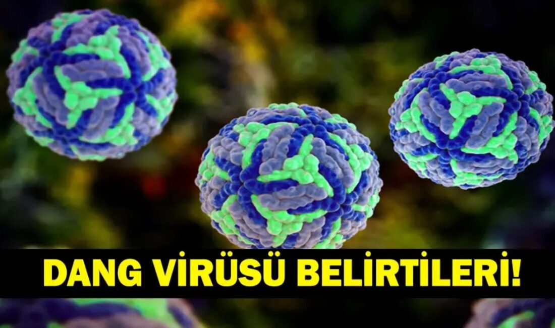 Gazeteci Serdar Akinan'ın hastalığa yakalandığını açıklamasının ardından dang virüsü yeniden