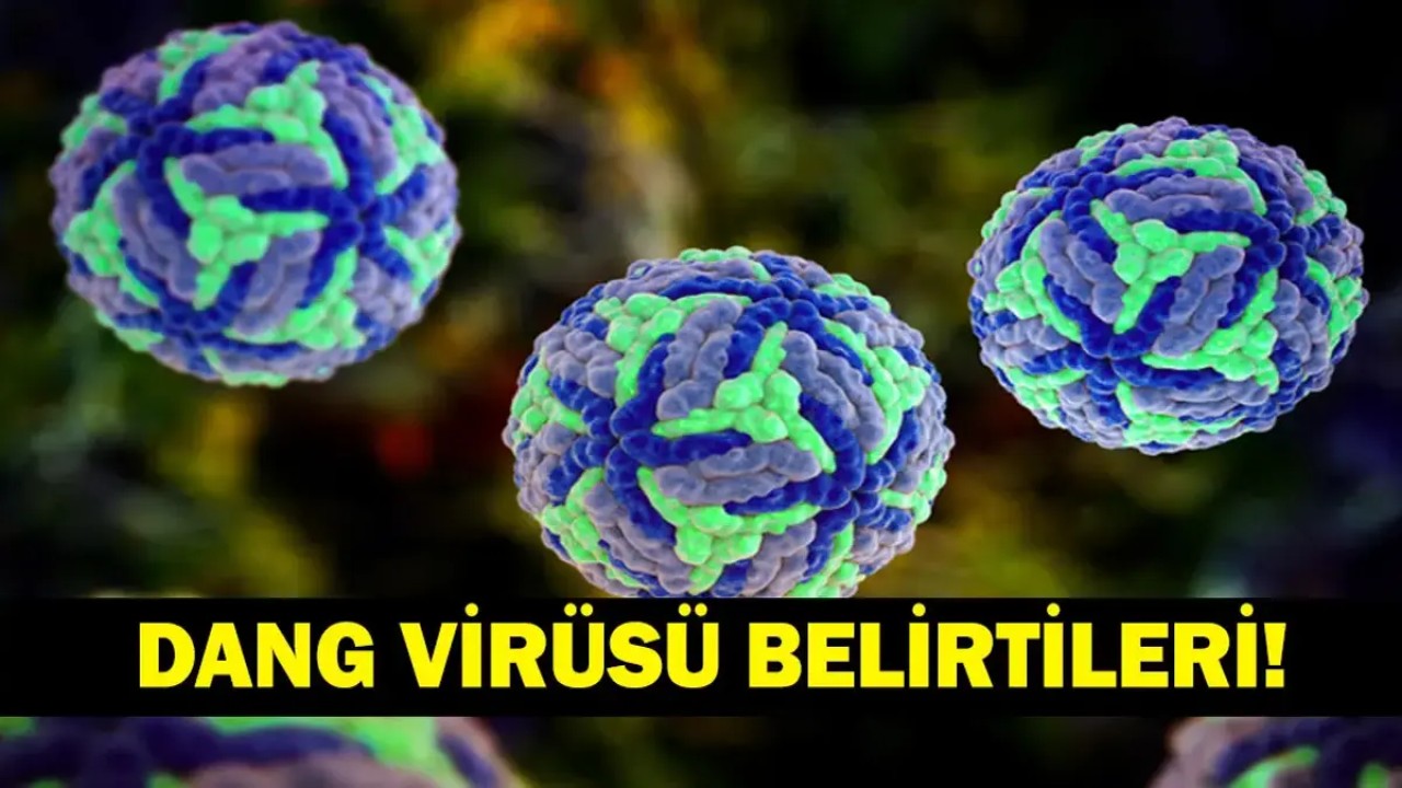Gazeteci Serdar Akinan'ın hastalığa yakalandığını açıklamasının ardından dang virüsü yeniden
