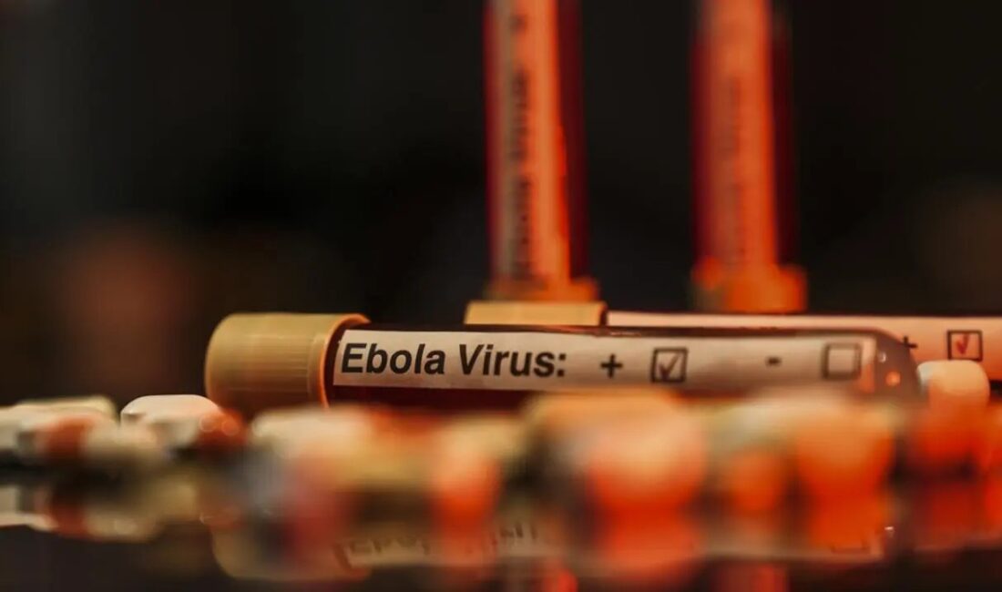 Dünya Sağlık Örgütü, Kongo Demokratik Cumhuriyeti'ndeki devam eden Ebola salgınını