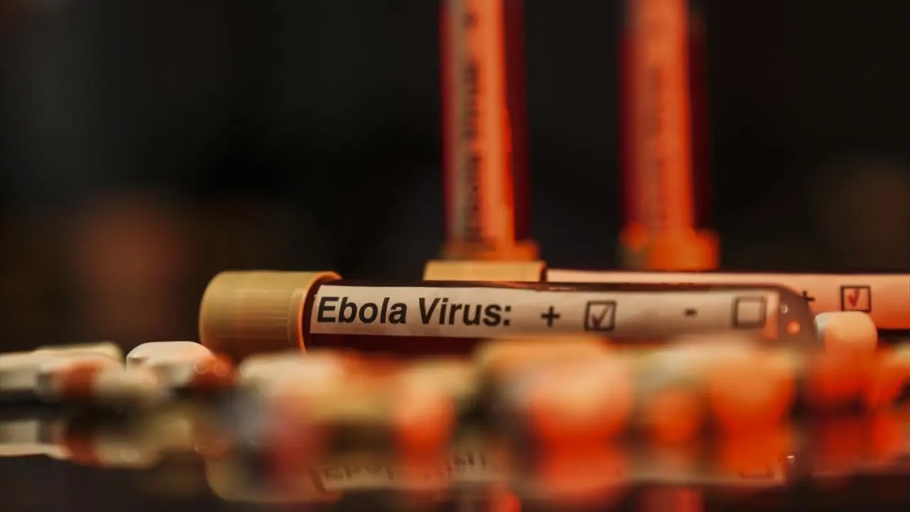 Dünya Sağlık Örgütü, Kongo Demokratik Cumhuriyeti'ndeki devam eden Ebola salgınını