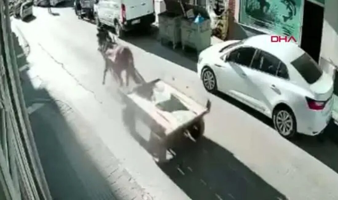 Edirne'de sahibinden kaçtığı belirlenen at arabasının kontrolsüz ilerlemesi sonucu bir