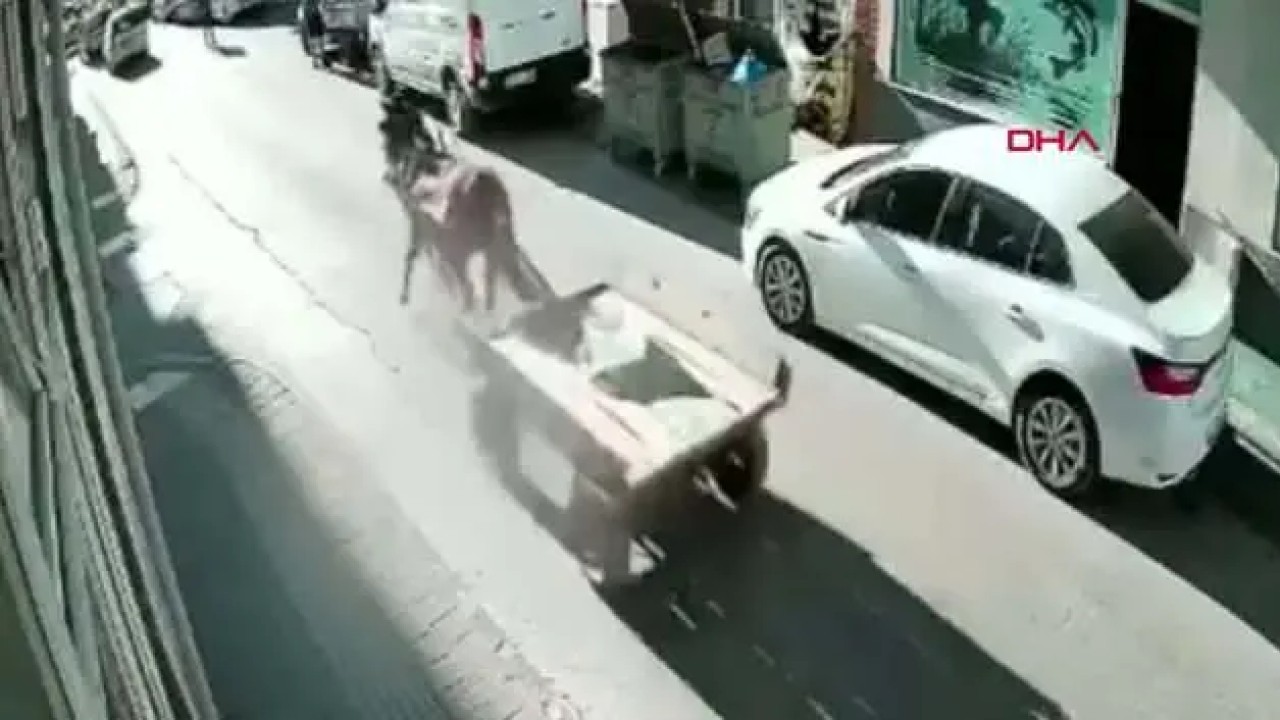 Edirne'de sahibinden kaçtığı belirlenen at arabasının kontrolsüz ilerlemesi sonucu bir