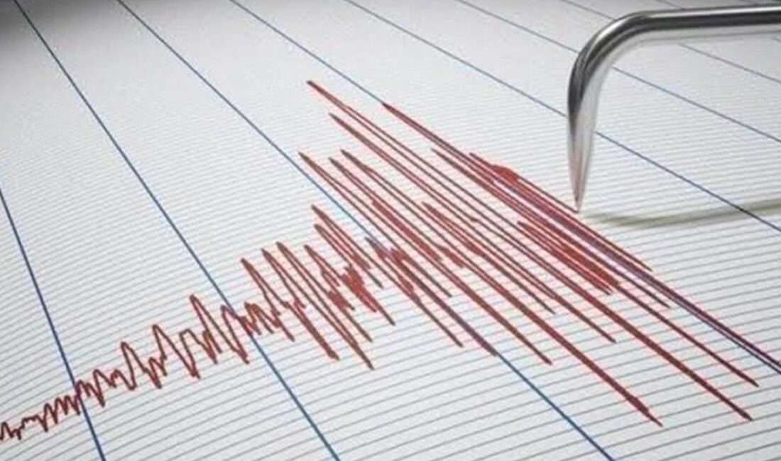 Flores yakınlarında kaydedilen sarsıntı 10 kilometre derinlikte gerçekleşti. Olayın ardından