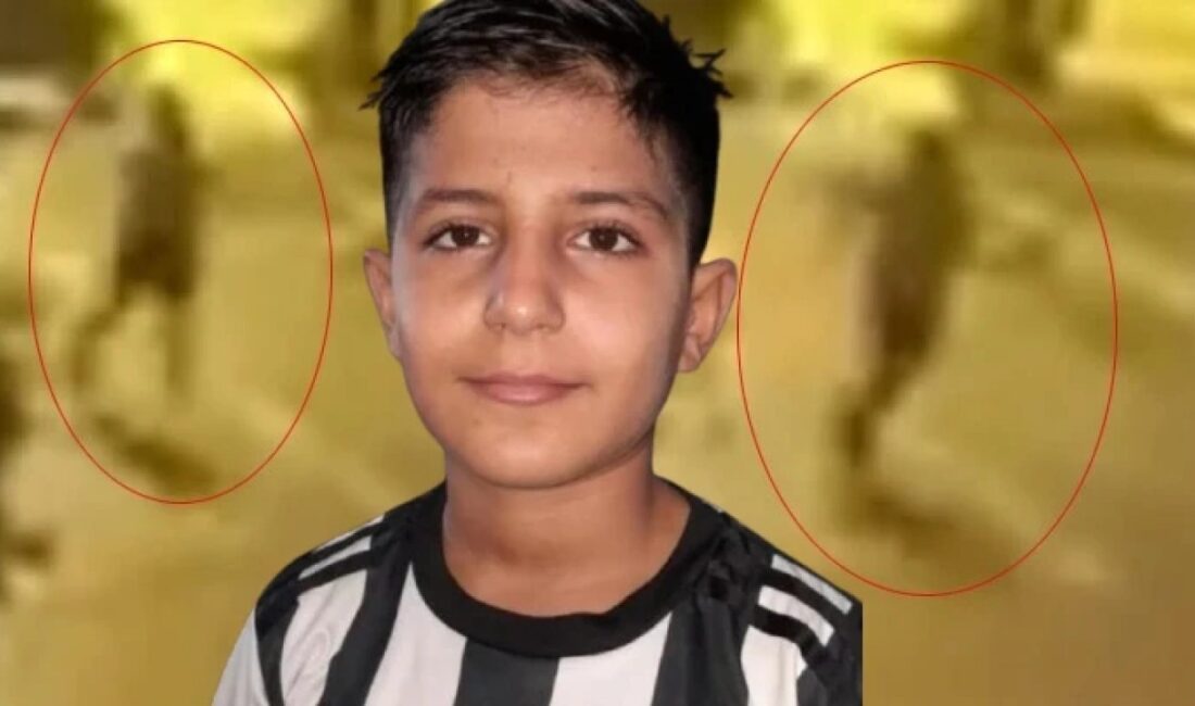Mersin'in Anamur ilçesinde 13 ay önce ölü bulunan 12 yaşındaki