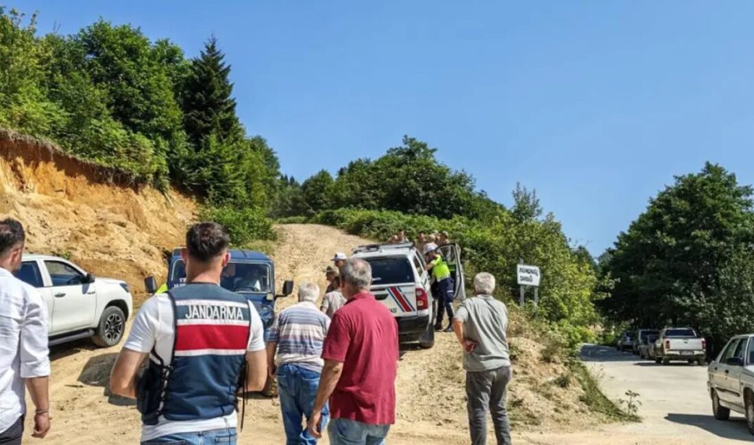 Giresun'da yüksek gerilim hatlarıyla ilgili çalışma yapan bir helikopterin düştüğü