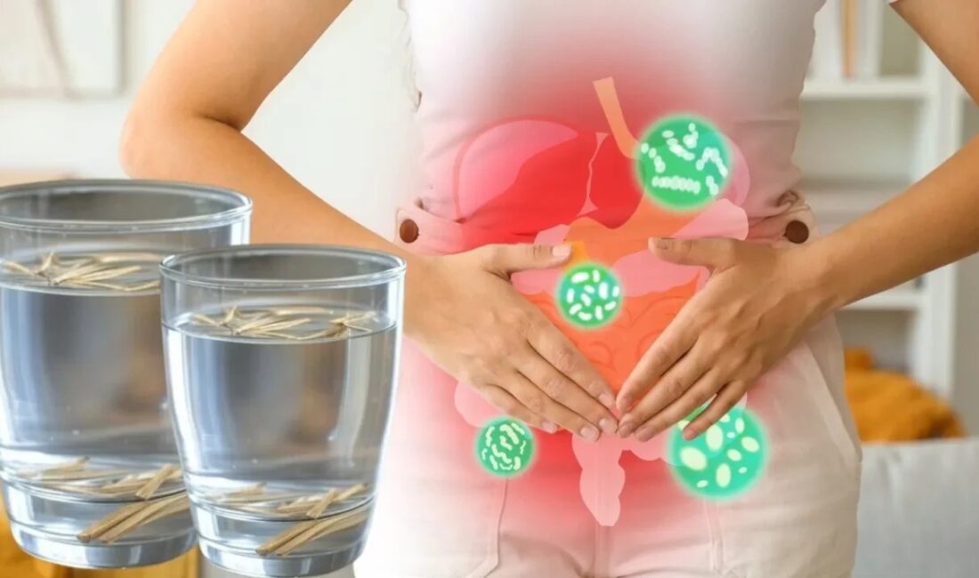 Bir kişi, her gün suya bir dal eklediğini ve 30