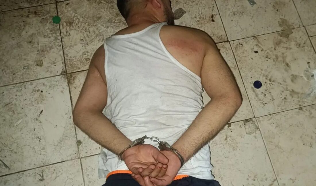 Dört ilçede gerçekleşen beş silahlı saldırı ve bir kundaklama olayıyla