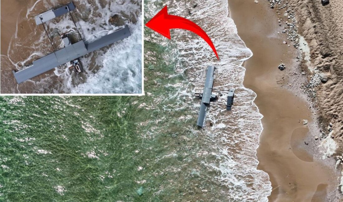 Arnavutköy Karaburun Sahili'nde sabah saatlerinde kıyıdaki vatandaşların fark ettiği bir