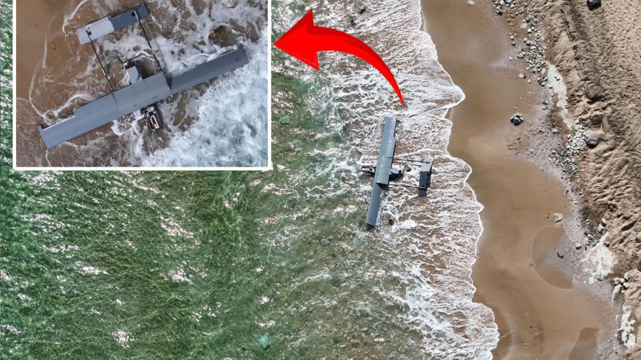 Arnavutköy Karaburun Sahili'nde sabah saatlerinde kıyıdaki vatandaşların fark ettiği bir