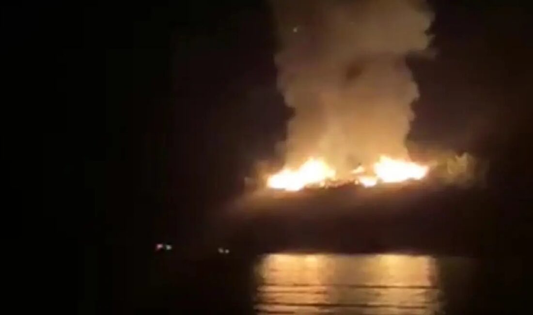 Muğla'nın Marmaris ilçesi Gökağaç mevkisinde gece orman yangını çıktı. Ekipler