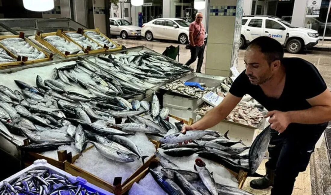 Tarım ve Orman Bakanı İbrahim Yumaklı, palamut ve torik av