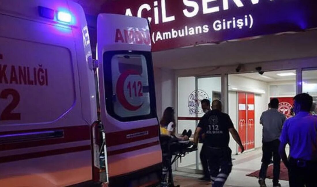 Uşak'ta bir trafik kazasında bir kişi yaşamını yitirdi. Kazanın panelvanın