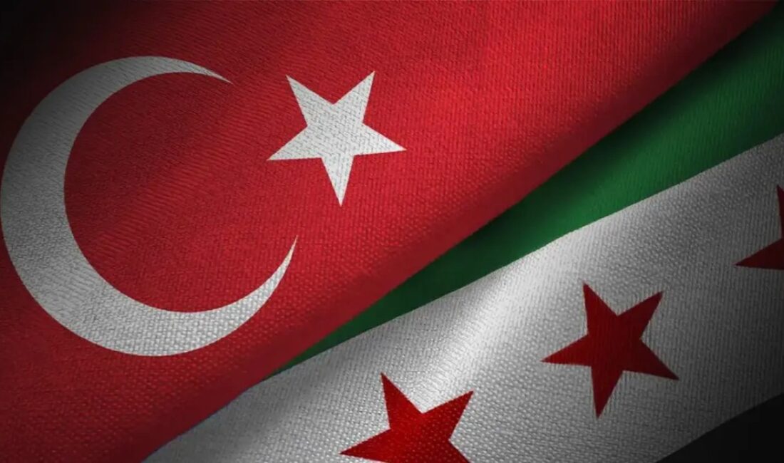Esad Hasan Şeybani, Türkiye'nin Suriye'nin yeniden imarında temel ortak olduğunu
