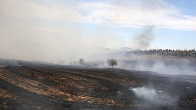 Ziraat Yüksek Mühendisi Lütfü Açar, anız yakma uygulamasının tarımsal sürdürülebilirliği
