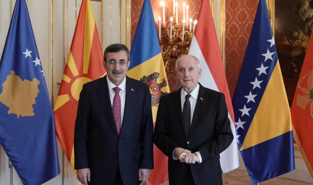Macaristan'da gerçekleşen kabulde Cevdet Yılmaz ile Andras Baka bir araya